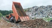 В Кирово-Чепецком районе после подачи иска СНТ ликвидировало свалку