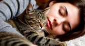 Почему кошки выбирают именно вашу кровать: наука и инстинкты ночных обнимашек