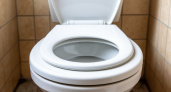 Почему нельзя оставлять открытой крышку унитаза - запомните раз и навсегда