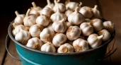 Когда сажать чеснок в октябре 2025 года по Лунному календарю: вырасте будет крупным, здоровым и крепким