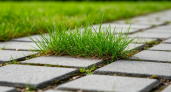 Я избавился от травы между плитками за 24 часа — и делюсь рецептом