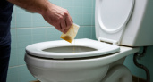 Уходя из дома, закидываю чайный пакетик в унитаз - волшебный совет знакомой горничной