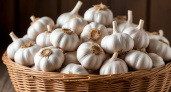 Как выбрать и хранить чеснок для максимально долгого срока годности