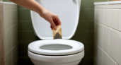 Уходя из дома, закидываю чайный пакетик в унитаз - волшебный совет знакомой горничной