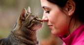 Любите целовать свою кошку? Учёные наконец объяснили, что она чувствует в этот момент