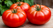 Не сорта, а чистое мясо: 10 лучших сибирских семян помидоров - дачникам сажать только их