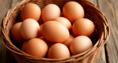 Какие яйца действительно полезны: научный взгляд на популярный продукт российского стола