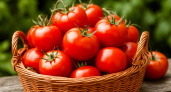 Как получить спелые помидоры в июне без выращивания рассады на подоконнике: три проверенных метода