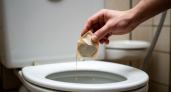 Уходя из дома, закидываю чайный пакетик в унитаз - волшебный совет опытной горничной