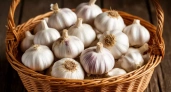 Почему мой чеснок не сохнет и не гниёт годами: секрет, который не рассказывают на рынках