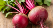 Как вырастить сладкую и крупную свеклу: сроки посадки, уход и секреты урожая