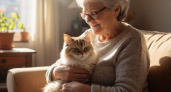 Людям старше 60 лет нужно держаться подальше от кошек: ученые объяснили почему
