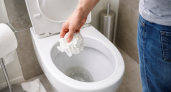 Слишком поздно узнал, почему нельзя выкидывать туалетную бумагу в унитаз: все объяснил знакомый сантехник