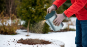 Сыпьте, пока не поздно: какое удобрение рассыпаю по снегу для мегаурожая