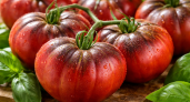 Дачники скупают семена пакетами: агроном назвала перспективный сорт томатов – выдает плоды по 500 гр. и не болеет
