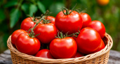 Слаще мёда и сахара: 10 самых сочных сортов томатов, которые вы обязаны посадить
