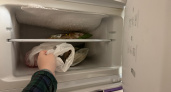 Черный список для морозилки: 10 продуктов, которые никогда нельзя там хранить - испортятся за мгновенье