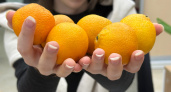 Хитрые продавцы в январе выбирают мандарины себе домой только так: запоминайте 3 приема
