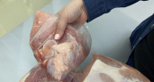 В мясе кировских полуфабрикатов нашли возбудитель опасной болезни