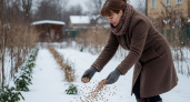3 крупы из магазина заменяют мне тонну навоза. Раскидываю прямо по снегу, весной удобрения не нужны