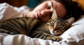 Что если кот спит с вами в кровати каждую ночь: влияние на здоровье обоих