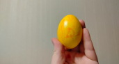 Скучная луковая шелуха в прошлом: крашу простым продукт и получаю яйцо в цвет мимозы - берите на заметку 