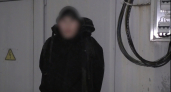 Опубликовано видео задержания подростка, который хотел сжечь подстанцию в Кирове