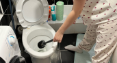 Отмыла унитаз за ночь без средств из магазина — делюсь простым способом без химии, который реально удивил
