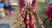 Почему шашлык получается, дубовым, сухим и невкусным: 6 ошибок, которые вы допускаете на каждом пикнике