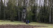 Роспотребнадзор оценил ситуацию с клещами в Кировской области