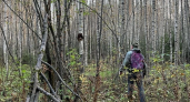 В Кировской области используют 18 беспилотников, чтобы выявлять лесные пожары 