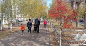 В Кировской области некоторым семьям пересмотрят отказы в назначении пособий