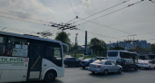 Где в России самые опасные и активные клещи: полный гайд для туристов