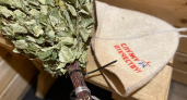 Какая баня лучше - каркасная, из бруса, сруб или баня-бочка? Честный разбор от строителя