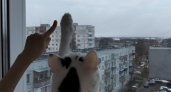 Окна сияют как горный ручей до самых заморозков: один раз помыл в мае — и забыл о грязи и пыли на 120 дней