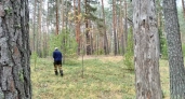 Под Кировом охотник заплатит за труп лося, несмотря на оправдательный приговор