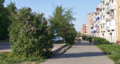 Кировская область намерена еще интенсивнее торговать с белорусами