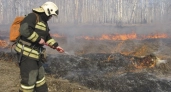В Кировской области стало в 15 раз меньше лесных пожаров