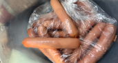 Обычные сосиски + простые продукты = 5 интересных блюд, которые точно удивят семью: вы пожалеете, что не знали о них раньше