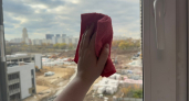 Брызнула 3 капли на салфетку - и окна засияли как утренняя звезда: никакой химии - гениальный лайфхак от японских хозяек