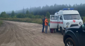 Пропавшего в Кирово-Чепецке мужчину в очках обнаружили мертвым