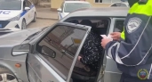 Можно ли ехать на машине, если забыл права дома и документы? Автоюрист объяснил, как правильно поступить