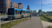 Рождены под особой защитой: эти 3 даты рождения дают самых мощных ангелов-хранителей