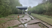Грозы и мощные ливни наберут силу в Кировской области