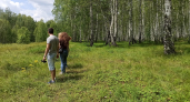 Роспотребнадзор оценил обстановку с клещами в Кировской области