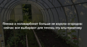 Пленка и поликарбонат больше не короли огородов: сейчас все предпочитают для теплиц этот вариант - куда надежнее и удобнее