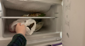 Зачем на ночь класть кроссовки в морозилку - странный лайфхак, который работает на 100%