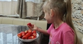 Красивое и редкое имя для девочки: сейчас так дочек не называют - и зря: славянское, звучное - ни с кем не перепутаешь