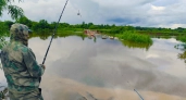В Кирово-Чепецке ускорилось падение уровня воды в реке Чепце