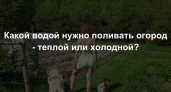Какой водой нужно поливать огород - теплой или холодной? Передайте родным - и сами запомните раз и навсегда 